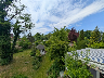 Ausblick