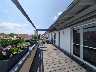 Süd-Dachterrasse